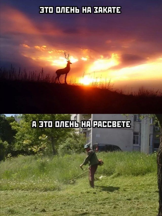 ЗТП ППЕНЬ НП ПКПТЕ чи ччі
