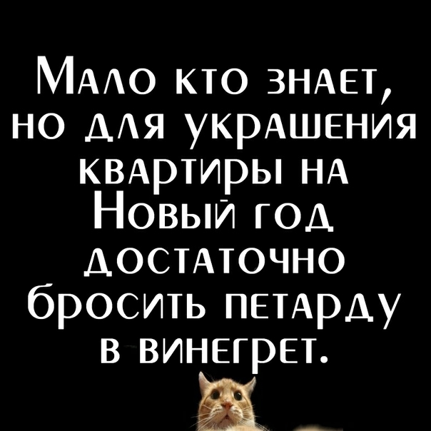 МААО кто ЗНАЕТ но ААЯ укрАшения КВАртиры НА Новый год ДОСТАТОЧНО бросить ПЕТАрду в ВИНЕГРЕТ а_