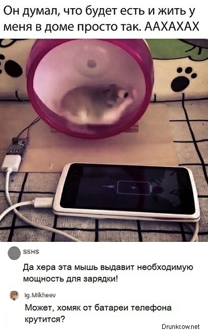 Он думал что будет есть и жить у меня в доме просто так ААХАХАХ да хера эта мышь выдавит необходимую мощность для зарядки 19 мКИёщ Может хомяк от батареи телефона крутится ви