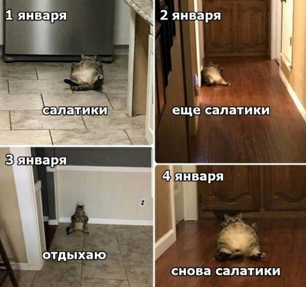 2 января ещё салатики СНОВЗ салатики
