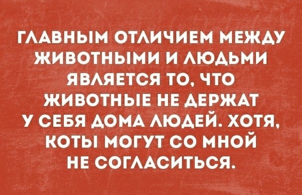 гААвным ОТАИЧИЕМ мвжм животными и АЮАЬМИ явмвтся то что животные не АЕРЖАТ у сввя АОМА АЮАЕЙ хотя коты могут со мной не СОГААСИТЬСЯ