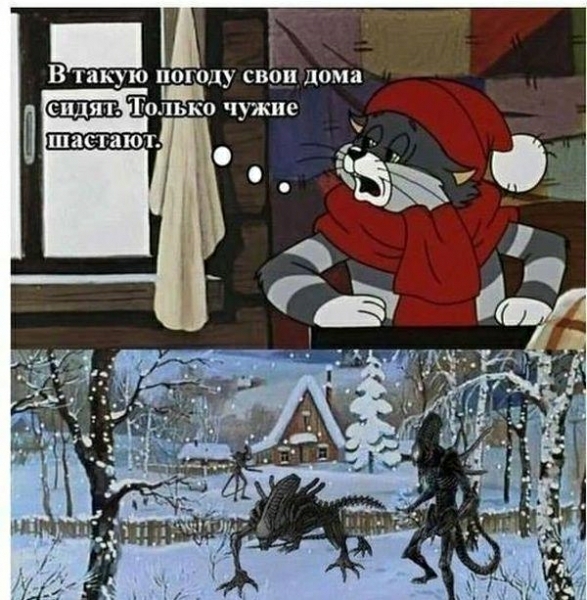 В такую погоду св_0н дома