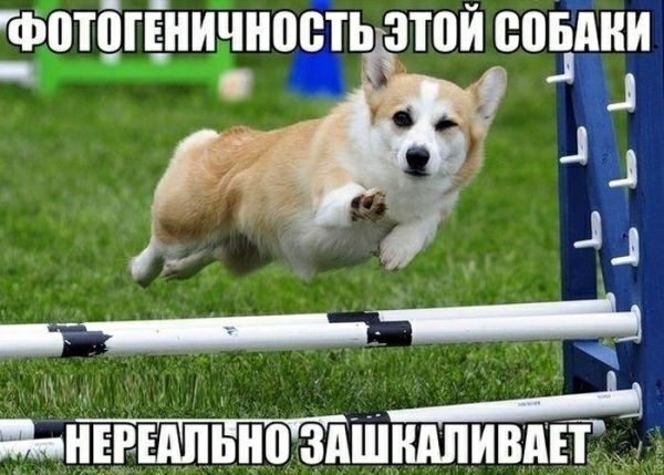 гфппъгЁничншпьдзтпй новини 1 13 дждд _ А ЪНЕРЕАПЬноздшндпившгё