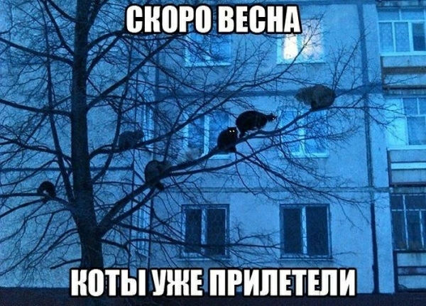 БНПРВ ВЕСНА НПТЫ УЖЕ ПРИЛПШИ