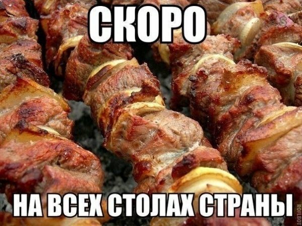 Яхт ни в стопмёіпцы