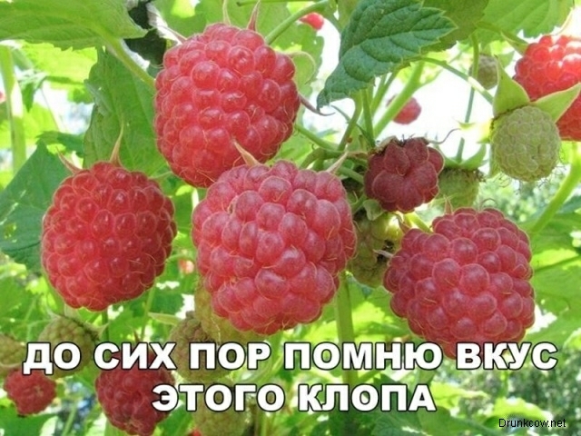 и до СИХ ПОР ПЦМЬЬЮ ВКУцсі а этогожлёпАЁк ц _ 1 с А