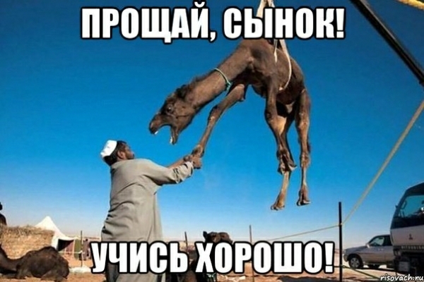 ч и БЫНПН Р0Щд