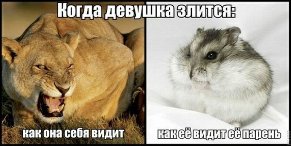 Когда девушка