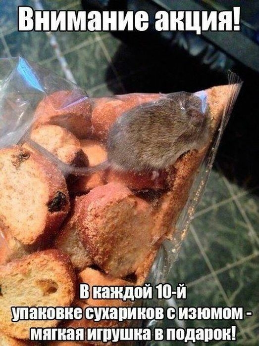КЧВЮ СПЗПШЮВ В изюмом МППЮЯ ИГШШПВ В подарок