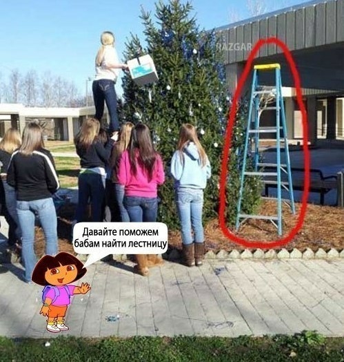 давайт поможем бабам кейт лестницу