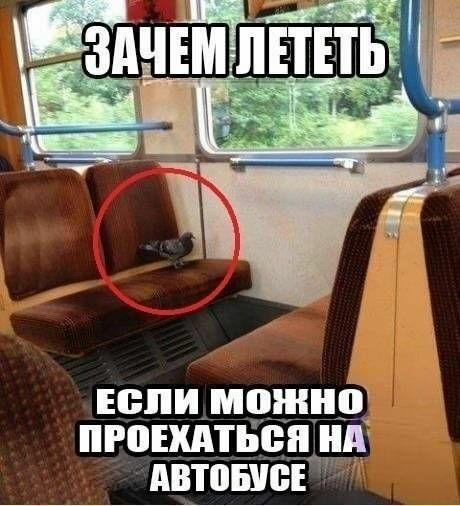 юпи можно ПРПЕШ ПЬЁЯ нд АВТОБШЁЁ