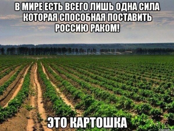 однд нотогпяипостдвить