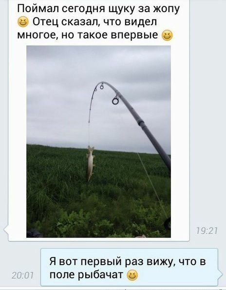 Поймал сегодня щуку за жопу Отец сказал что видел многое но такое впервые в т Я вот первый раз вижу что в попе рыбачат _
