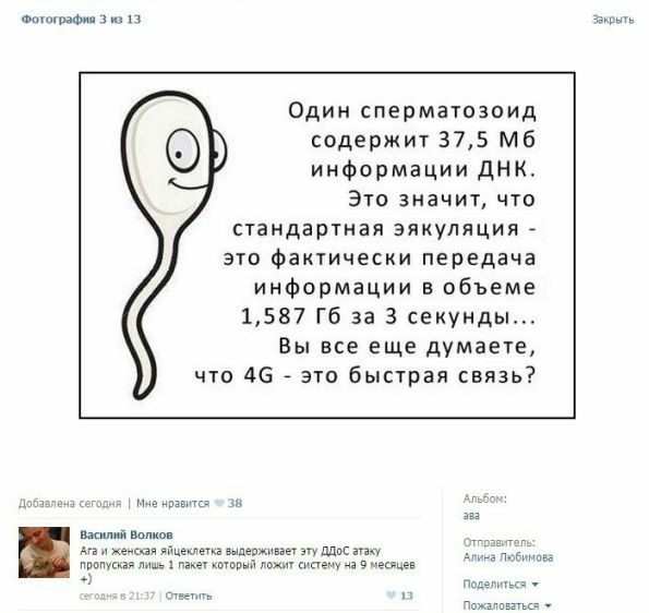 воинами п и Один сперматозоид содержит 375 Мб информации ДНК Это значит что стандартная эякуляция это Фактически передача информации в объеме 1587 Гб за 3 секунды Вы все еще думаете что 46 это быстрая связь ь ь шт ш вши полип мз цпкпп мз ашпержнвггт пдпс аг виду в не а есгцеп Тпхмпытыв