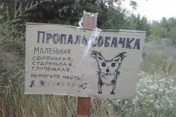П М АЛЕнькщ серенвквч СТАРЕньКАч глупеньгич не иогип мд