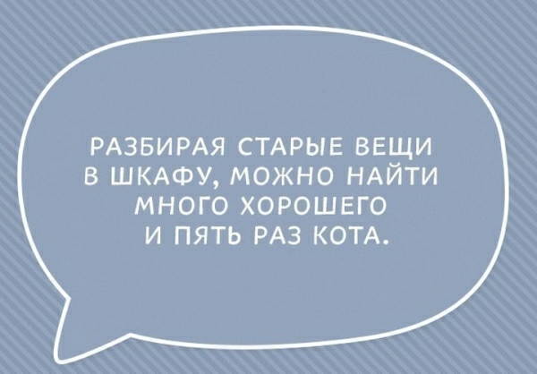 РАЗБИРАЯ СТАРЫЕ вещи в ШКАФУ можно НАЙТИ МНОГО ХОРОШЕГО И ПЯТЬ РАЗ КОТА