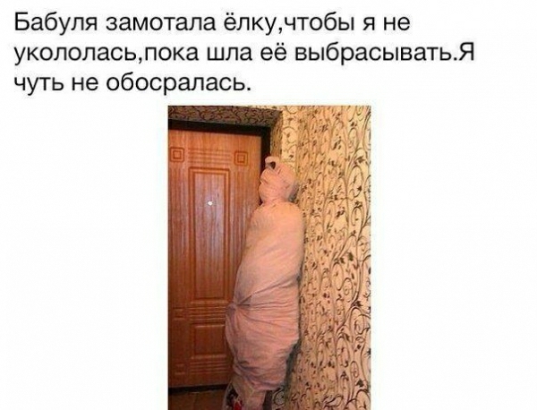 Бабуля замотала ёлкучтобы я не укололасьлока шла её выбрасыватьЯ чуть не обосрапась