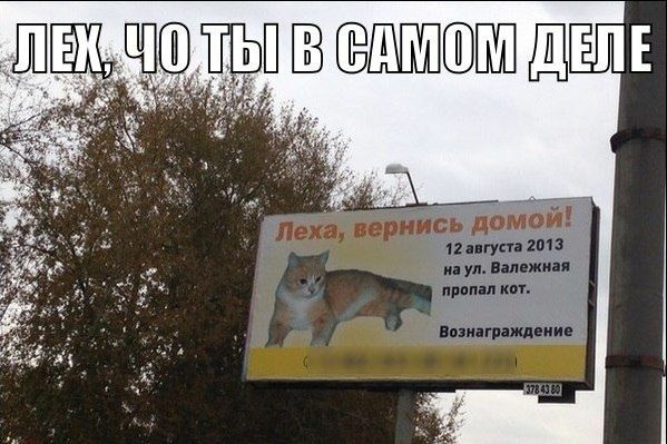 ШЁЬЩЗ ЩЬП ЕЁШЦШШЦШ ЩЕЛЕ