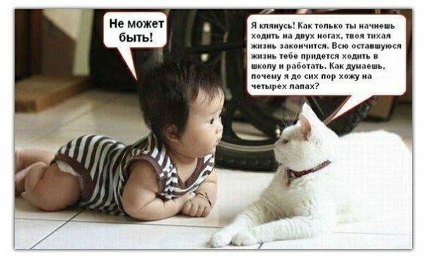 не может бьпь и мух ммм мкоичипи в ж в п у и дума ы ну хожу мы Мих