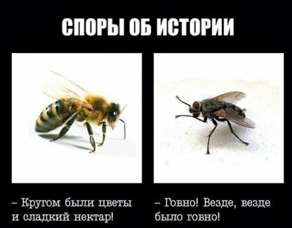 ЩЮРЫ 05 ИВЮРИИ Кругом были цветы Говно Везде везде и сладкий нектар было говно
