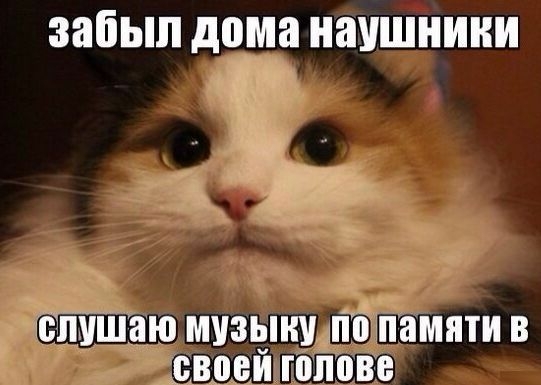забыл дома наушники ЁЛПШВЮ МУЗЫКУ памяти В ВВМ голове