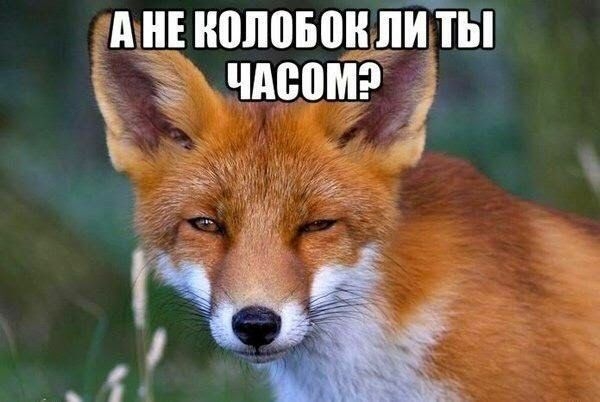 ТЫ