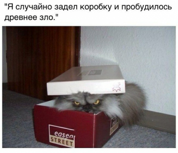 Я случайно задел коробку и пробудилось древнее зло