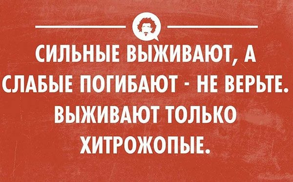 СИЛЬНЫЕ ВЫЖИВАЮТ А СЛАБЫЕ ПОГИБАЮТ НЕ ВЕРЬТЕ ВЫЖИВАЮТ ТОЛЬКО ХИТРОЖОПЫЕ