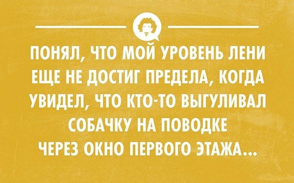 ПОНЯЛ ЧТО МОЙ УРОВЕНЬЛЕНИ ЕЩЕ НЕ дОСТИГ ПРЕДЕЛА КОГДА УВИДЕЛ ЧТО КТО ТО ВЫГУЛИВАЛ СОБАЧКУ НА ПОВОДКЕ ЧЕРЕЗ ОКНО ПЕРВОГО ЭТАЖА