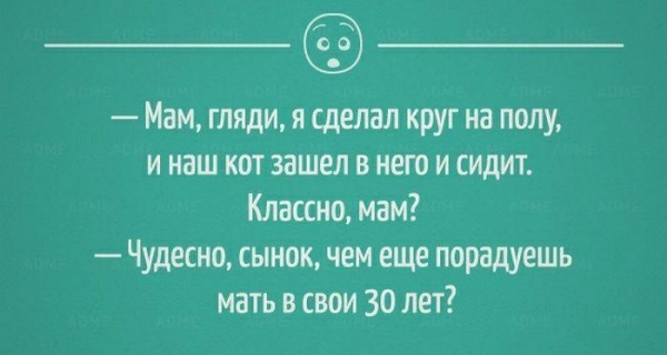 Мам гляди я сделал круг на полу и наш кат зашел в него и сидит Классно мам Чудесно сынок чем еще порадуешь мать в свои 30 лет