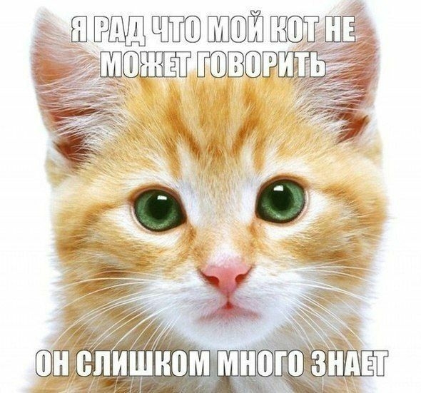ШШШ