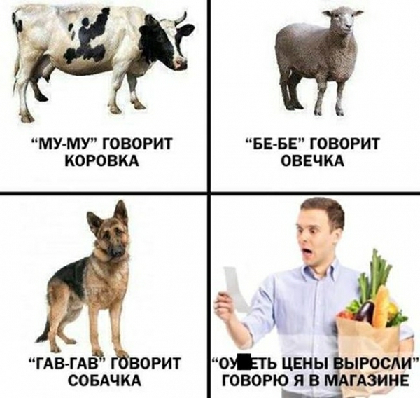 МУ МУ ГОВОРИТ БЕ БЕ ГОВОРИТ КОРОБКА ОВЕЧКА М а ГАВ ГАВ орит оУЕть цвныіырос И СОБАЧКА ГОВОРЮ Я В Азии __А