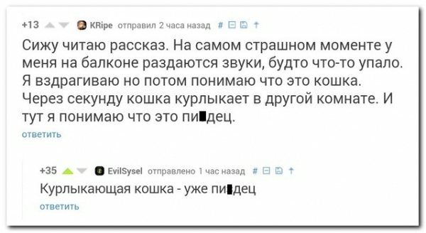 из кв травм ншд г г Сижу читаю рассказ На самом страшном моменте у меня на балконе раздаются звуки будто что то упало Я вздрагиваю но потом понимаю что это кошка Через секунду кошка курлыкает в другой комнате И тут я понимаю что это пидец оУвнить 5 выв птознлепощзьназад п в Курпыкающая кошка уже пидец тащить