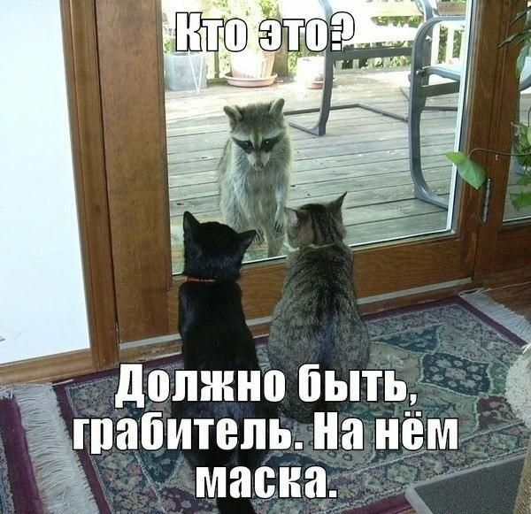 іі і 551 дппжно быть гпабитепь На масках _