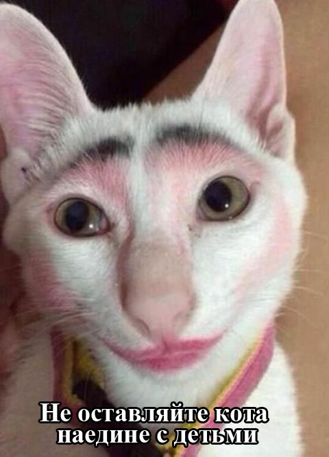 Не остав й те кота