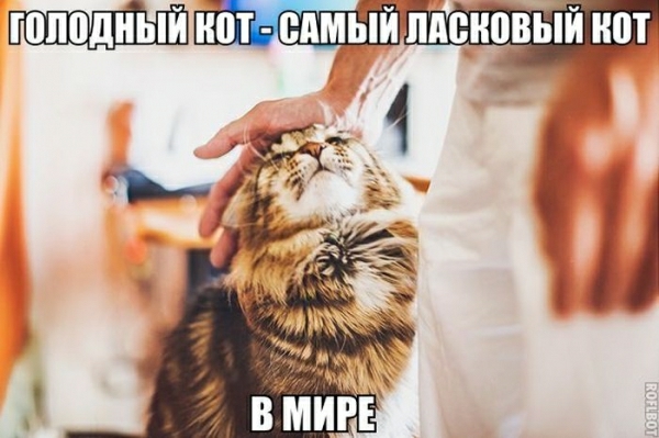 гмсновый нот