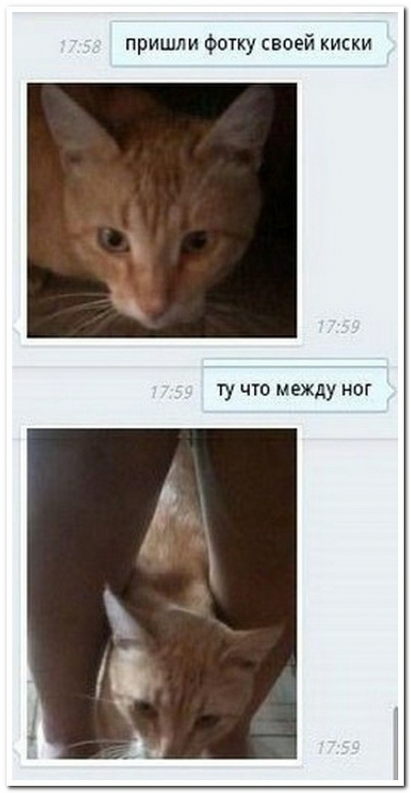пришли фотку своей киски ТУ ЧТО между НОГ