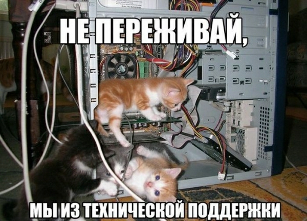 шымщшиинюцпи подшивки