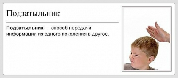 Подзатыльник Подзатьшьиик способ передачи информации из одного поколения в другое