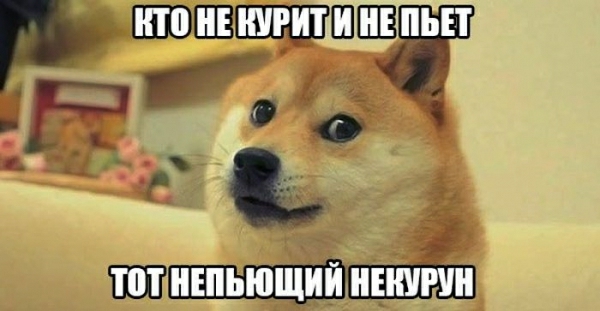 РЁЁЁШЁЁШШЗ 55 о пт