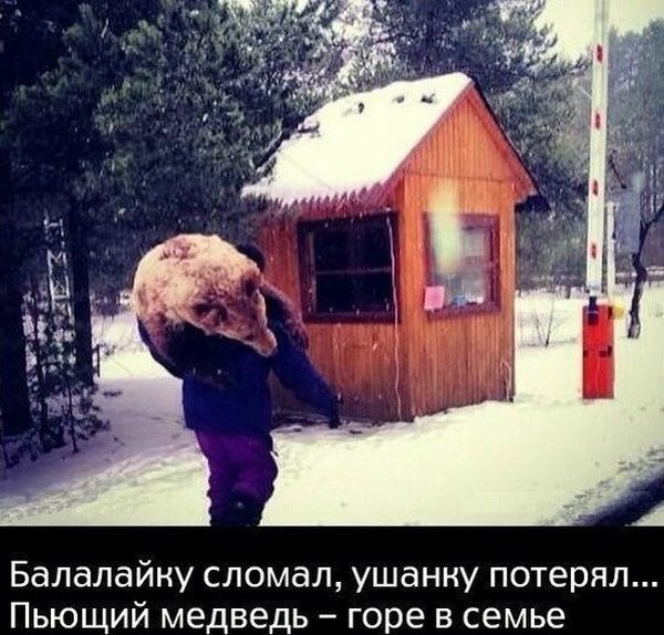Балалайну сломал ушанну потерял Пьющий медведь горе в семье