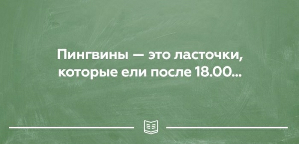 Пингвины это ласточки которые ели после 1800