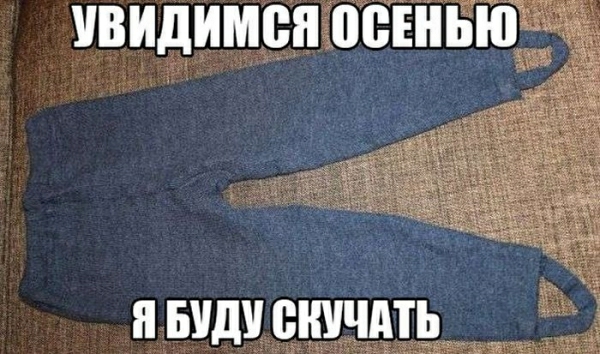 я види еничдть _