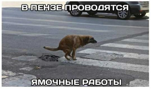 _в твнаа__прородтся __