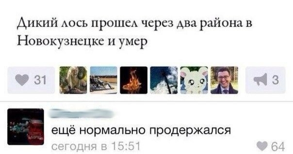 Аикий АОСЬ прошеА через два района в Новокузнецке И умер ещё нормально продержался о