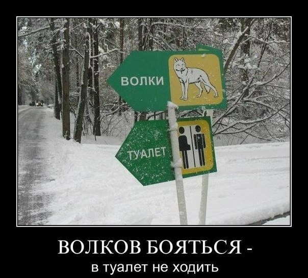 ВОЛКОВ БОЯТЬСЯ В туалет не ХОДИТЬ