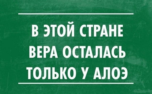 в этой СТРАНЕ ВЕРА ОСТАЛАСЬ только у Алоэ