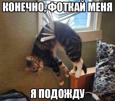 нонъчноіфіоітндцмънн чп _ 4 5 и в ЁЙДіу _ _ ЯППДПЖДУЖ