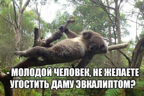 мрподпй чіповін Е ШШШ угостить ддт звмпиптомэ