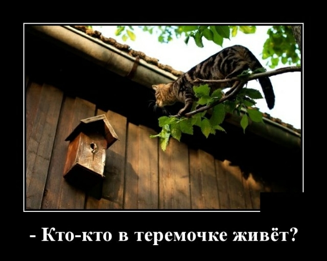 Кто кто в теремочке живёт